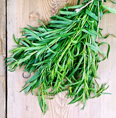 Tarragon