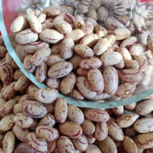LIGHT SPECKLED KIDNEY BEANS (XINJIANG TYPE )