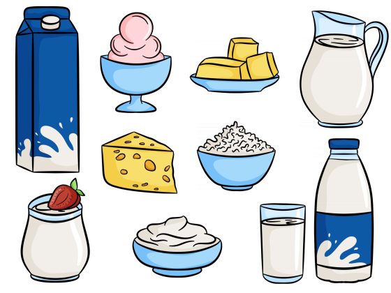 milk-and-dairy-products-food-set-vector